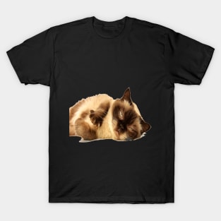 Sleepy cat T-Shirt